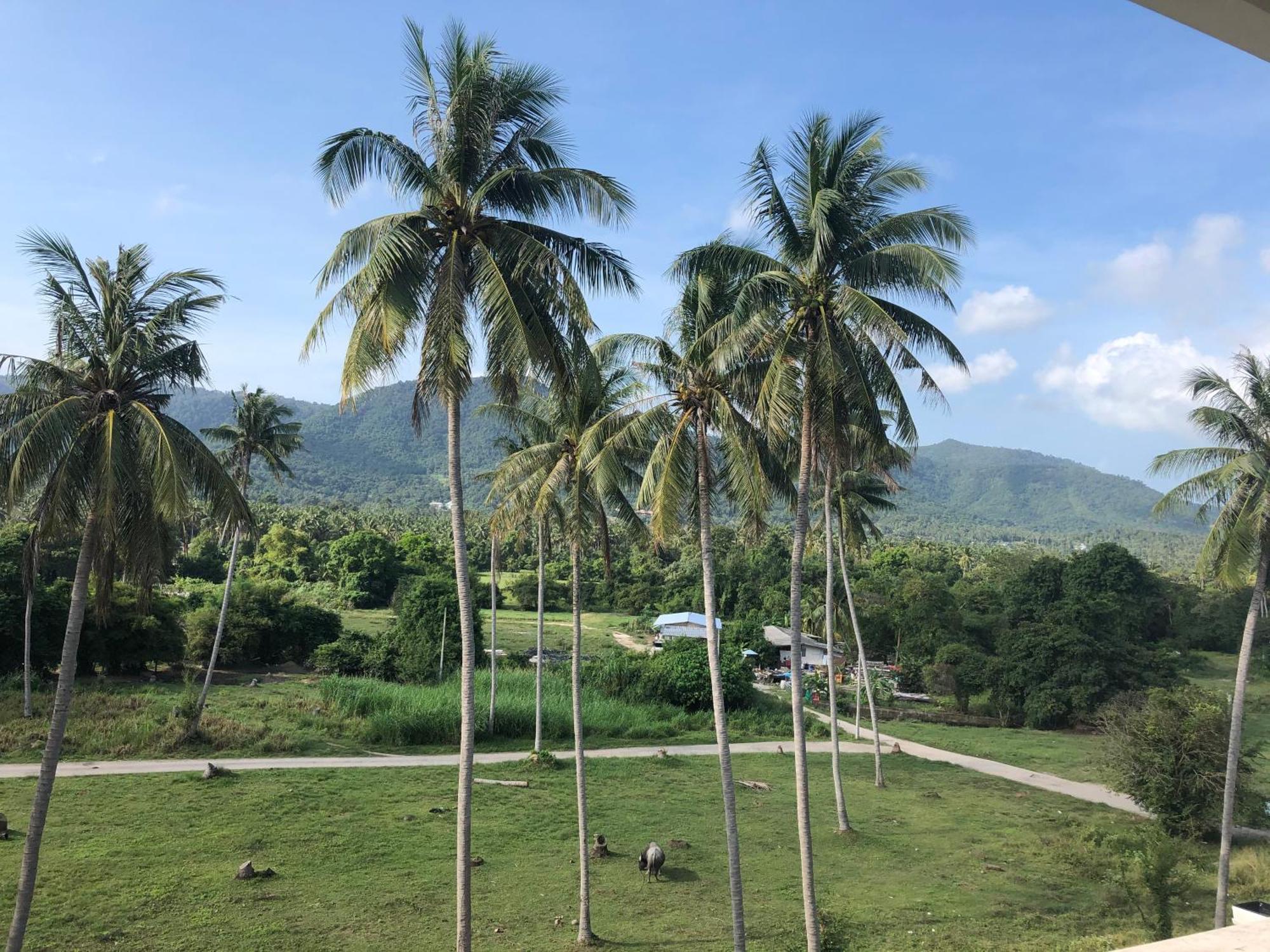 Amarin Samui Hotel - Sha Plus Certified Bãi biển Bãi biển Mae Nam Ngoại thất bức ảnh